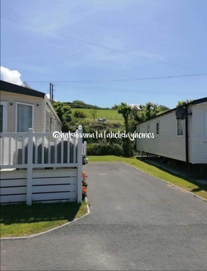 Hakuna Matata Holiday Home New Quay Exterior foto